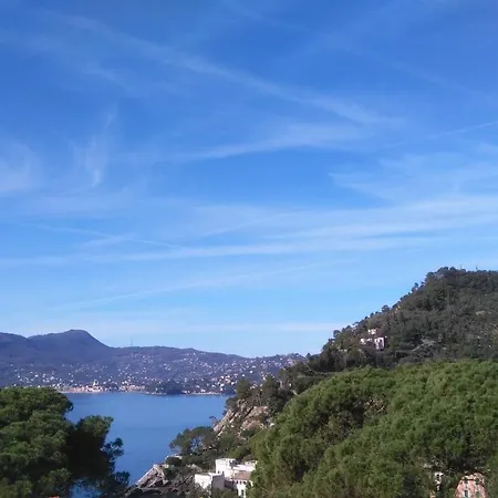 Apartment Vicino Alla Spiaggia - Near The Beach Zoagli