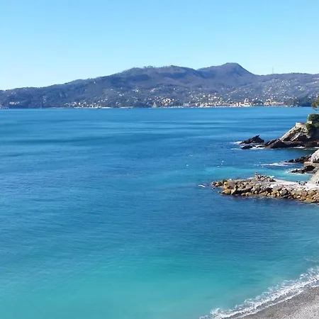 Apartment Vicino Alla Spiaggia - Near The Beach Zoagli