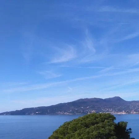 Vicino Alla Spiaggia - Near The Beach Zoagli